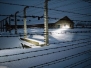 Auschwitz 2005 bei Nacht (1 photo)