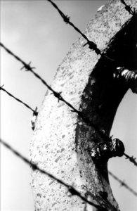 elektrzaun_auschwitz_ender.jpg