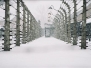 Stammlager Auschwitz 27.01.05 (1 photo)